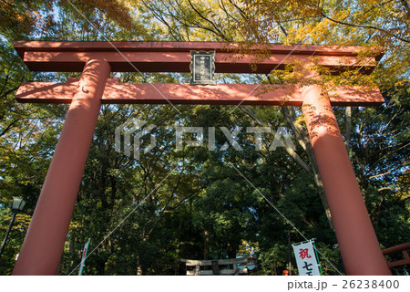 世田谷八幡宮　東京都世田谷区宮坂 26238400