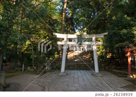 世田谷八幡宮 東京都世田谷区宮坂 世田谷八幡宮 東京都世田谷区宮坂 26238939