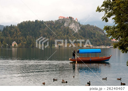 ブレット湖の鴨と手漕ぎボート 26240407