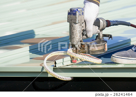 屋根のガルバリウム鋼板にネイルガンで釘を打つ作業 屋根のガルバリウム鋼板にネイルガンで釘を打つ作業 26241464