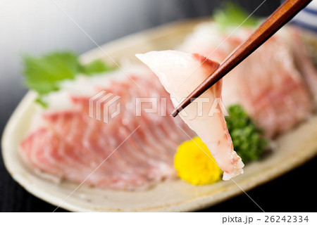 グレのお刺身 グレのお刺身 26242334