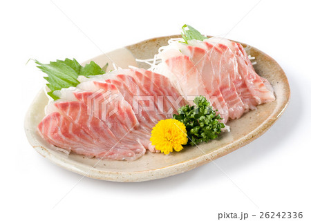 グレのお刺身 26242336
