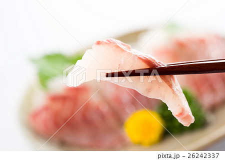 グレのお刺身 26242337