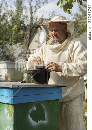 Beekeeper is working with bees and beehives on the 26243749