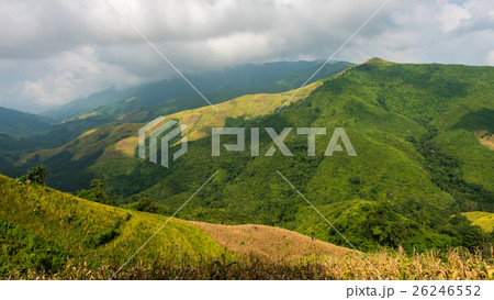 View of the corn field on the mountain in Pua View of the corn field on the mountain in Pua 26246552