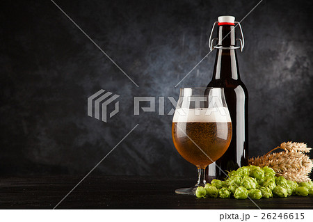 Beer glass on dark background 26246615