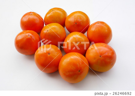 渋柿 26246692