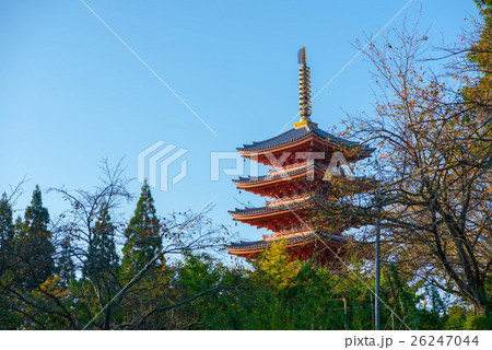 大建寺深見五重の塔 26247044