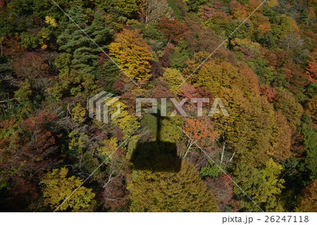 秋_びわ湖バレイ 26247118