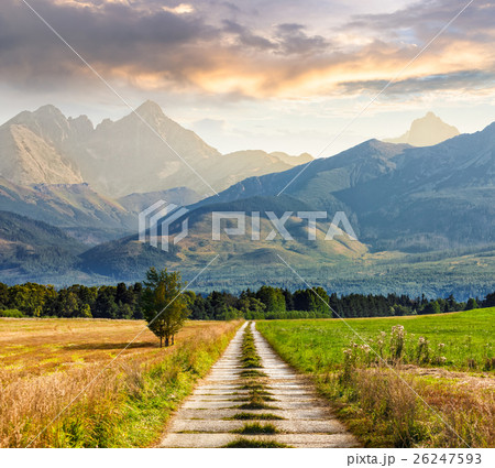 Rural fields near the high mountains Rural fields near the high mountains 26247593