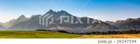 rural field in Tatra mountains rural field in Tatra mountains 26247594