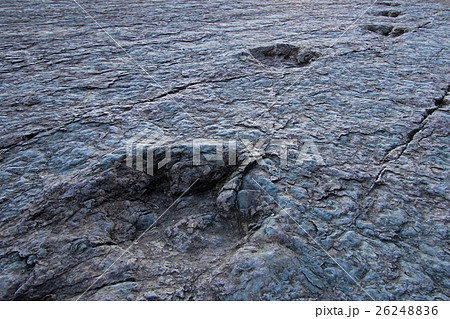 Huge dinosaur footprints, Maragua, Bolivia 26248836