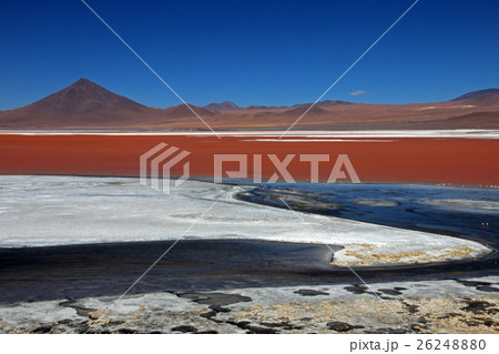 Laguna Colorada Bolivia Laguna Colorada Bolivia 26248880