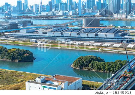 豊洲市場　魚市場　生鮮市場　新設備 26249913