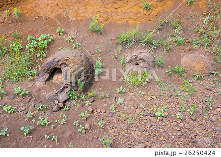 Three stone formation resembling form of dinosaur Three stone formation resembling form of dinosaur 26250424