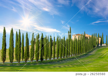 Sunny landscape background of Tuscany countryside 26250560