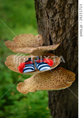 The shoe of the newborn on a large mushroom The shoe of the newborn on a large mushroom 26251723