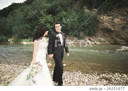 Elegant stylish happy brunette bride and gorgeous Elegant stylish happy brunette bride and gorgeous 26251877