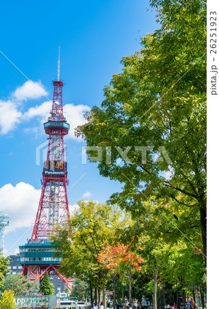 札幌・大通公園とテレビ塔 札幌・大通公園とテレビ塔 26251923