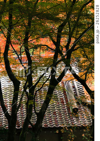 雷山千妙寺　紅葉 26252828