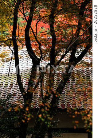 雷山千妙寺　紅葉 26252829