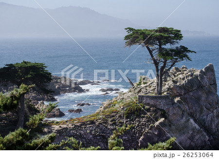 カリフォルニア　１７マイルドライブ 26253064