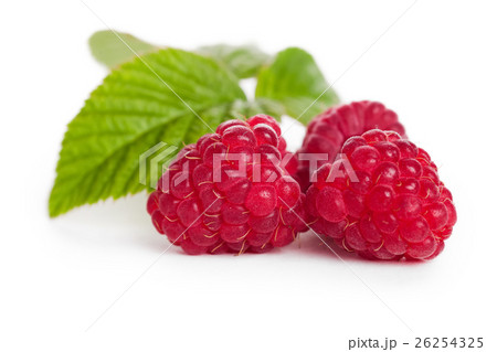 Fresh raspberries with leaf 26254325