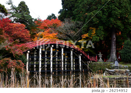 世界遺産　秋の丹生都比売神社太鼓橋 26254952