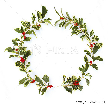 ヒイラギの葉とナンテンの実のクリスマスリースの写真素材