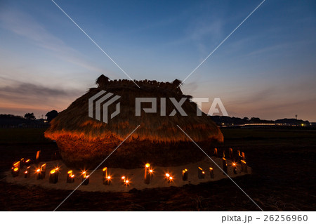 見沼田んぼ　夕景のフナノ 26256960