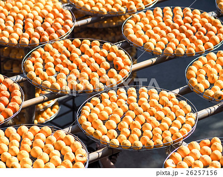 日溜り 日当り 自然造形 26257156