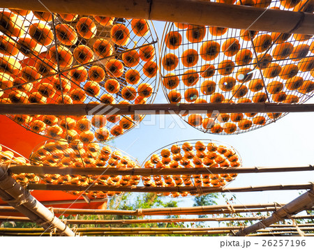 日溜り 日当り 自然造形 26257196