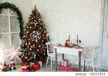 Design room with a Christmas fir 26257633