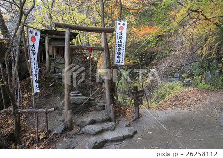 西沢渓谷(大嶽山那賀都神社) 西沢渓谷(大嶽山那賀都神社) 26258112