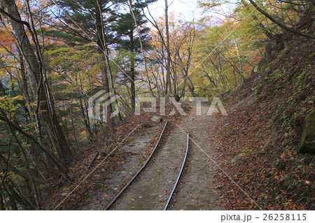 西沢渓谷（復路・西沢森林軌道跡の林道） 26258115