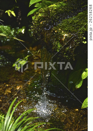 湧水（武蔵国分寺／東京都国分寺市西元町1-13-16） 26258268