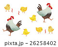 ニワトリとひよこ 26258402