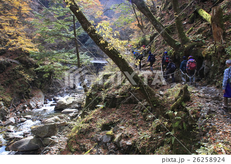 西沢渓谷（母胎淵～七ツ釜五段の滝 間にて） 26258924