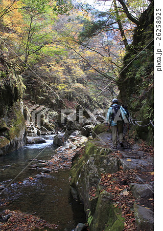 西沢渓谷(母胎淵~七ツ釜五段の滝 間にて) 西沢渓谷(母胎淵~七ツ釜五段の滝 間にて) 26258925
