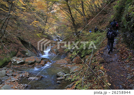 西沢渓谷(貞泉の滝~母胎渕 間にて) 西沢渓谷(貞泉の滝~母胎渕 間にて) 26258944