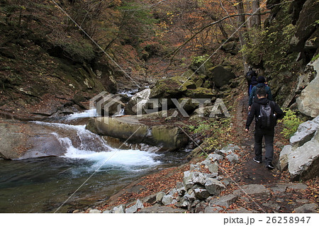 西沢渓谷(貞泉の滝~母胎渕 間にて) 西沢渓谷(貞泉の滝~母胎渕 間にて) 26258947