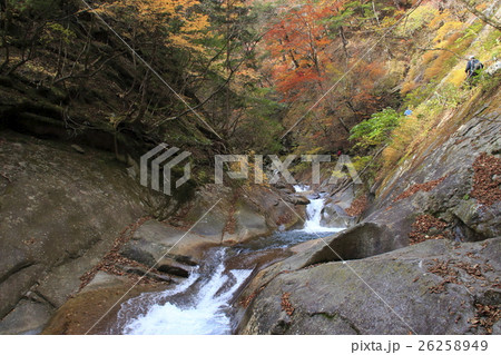 西沢渓谷(貞泉の滝~母胎渕 間にて) 西沢渓谷(貞泉の滝~母胎渕 間にて) 26258949