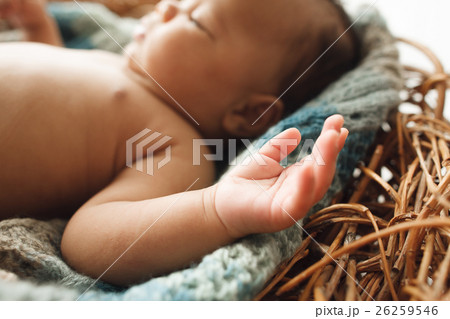 Newborn kid lying in nest, focus on hand 26259546