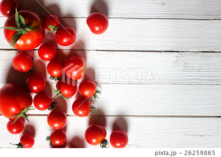 harvest fresh tomato top 26259865
