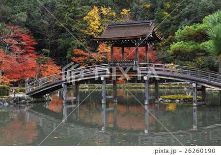 秋の永保寺 26260190