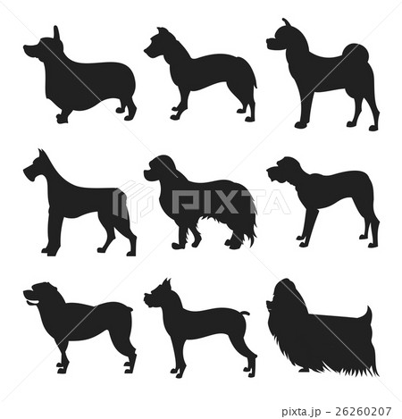Set of dogs silhouette 26260207