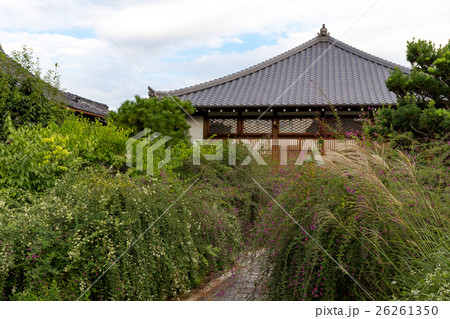 常林寺 - 萩の寺 26261350