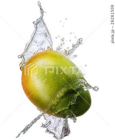 Water splash with mango isolated 26261509