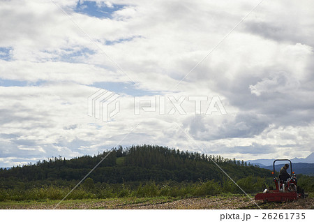 大農園 野菜の収穫イメージ 26261735