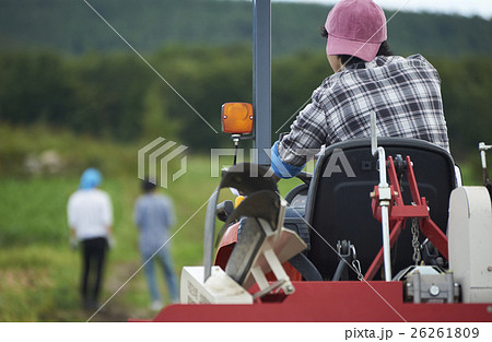 農業体験をする若者 26261809